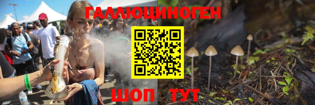 Павловский Посад  Псилоцибиновые грибы Cubensis  Вход с VPN 